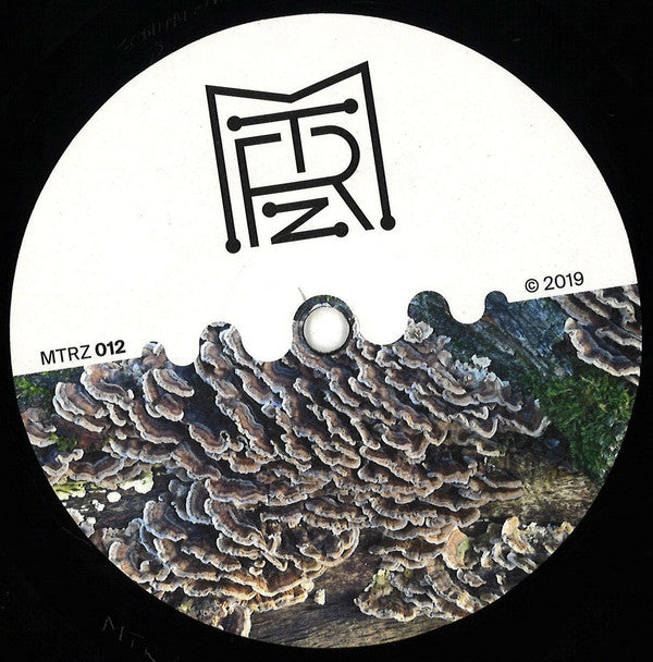 Ion Ludwig : A Better Future To Long EP (12", EP)