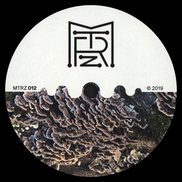 Ion Ludwig : A Better Future To Long EP (12", EP)
