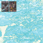 Cosmonection : Talamanca EP (12")