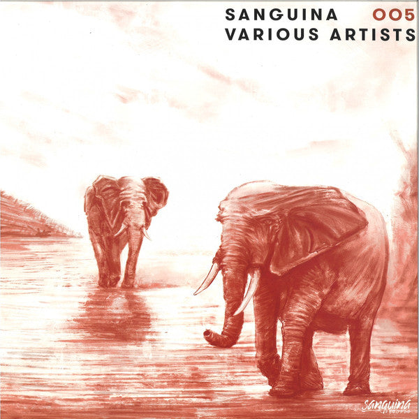 Various : Sanguina 005 (12")