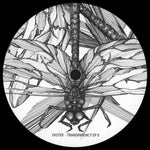 Faster : Transparency EP II (12", EP)