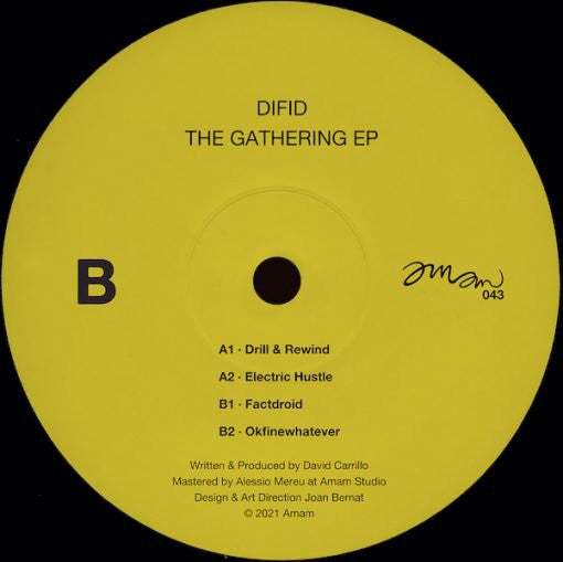 Difid : The Gathering EP (12", EP)