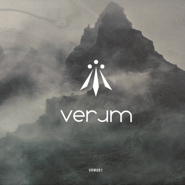 Various : VRM001 (12", EP)