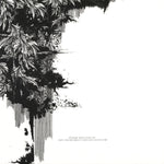 Brizman* : At The End (12")