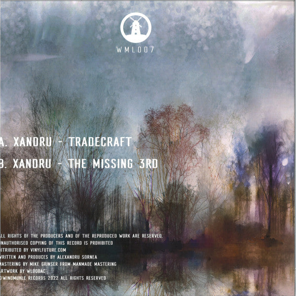 Xandru : The Missing 3rd (12", EP, Ltd)