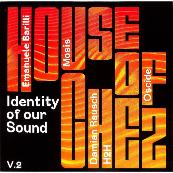 Various : Identity Of Our Sound Vol 2 (12")