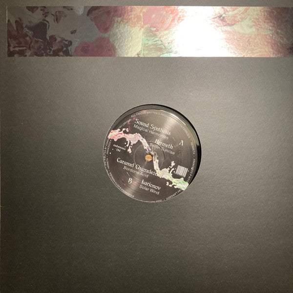 Various : Acid Explorations (12", Comp)