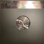 Various : Acid Explorations (12", Comp)