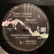 Various : Acid Explorations (12", Comp)