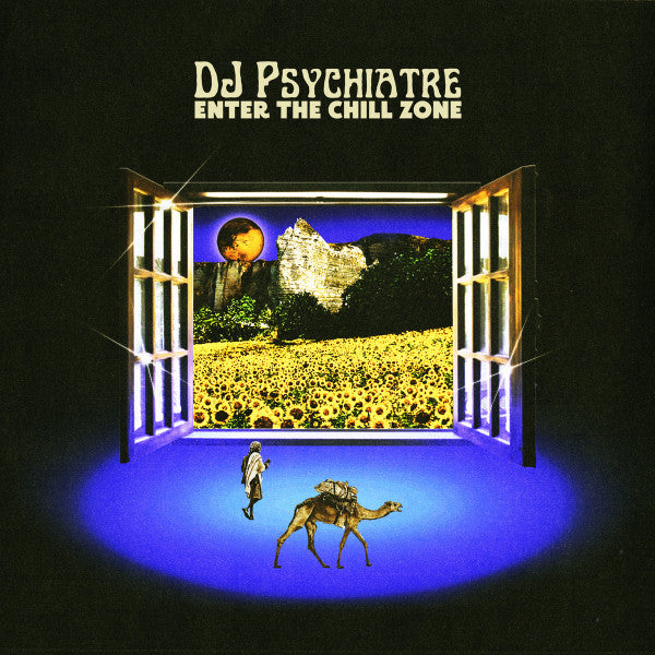 DJ Psychiatre : Enter The Chill Zone (12", EP)