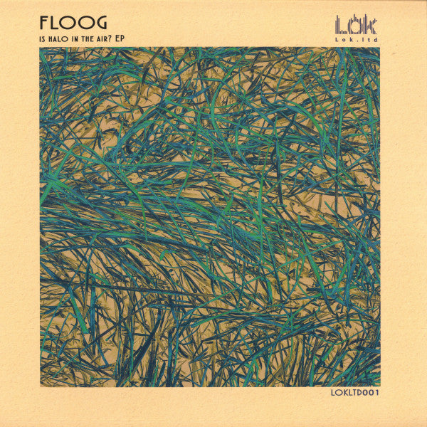 Floog : Is Halo In The Air? Ep (12", EP)