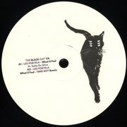 Various : The Black Cat (12", Comp)