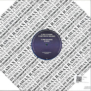 Move D : Circle To The Square (12", Blu)