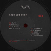 Various : Frequencies 001 (12")