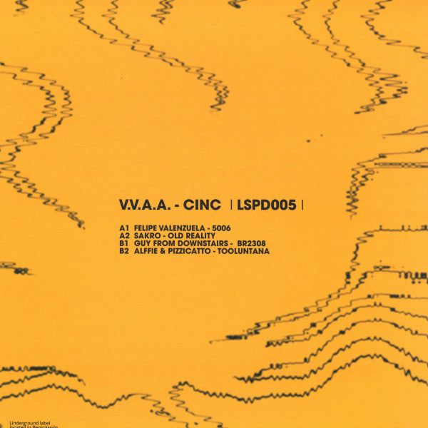 Various : CINC (12")
