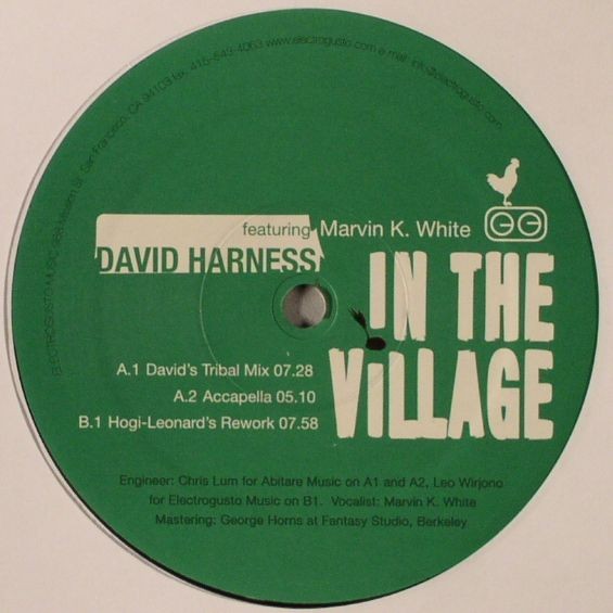 David Harness : In The Village (12")