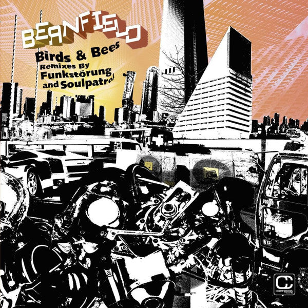 Beanfield : Birds & Bees (12")