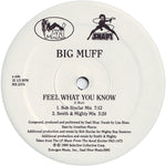 Big Muff : Feel What You Know (2x12")